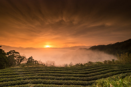 1255384 (a): :2048x1365
